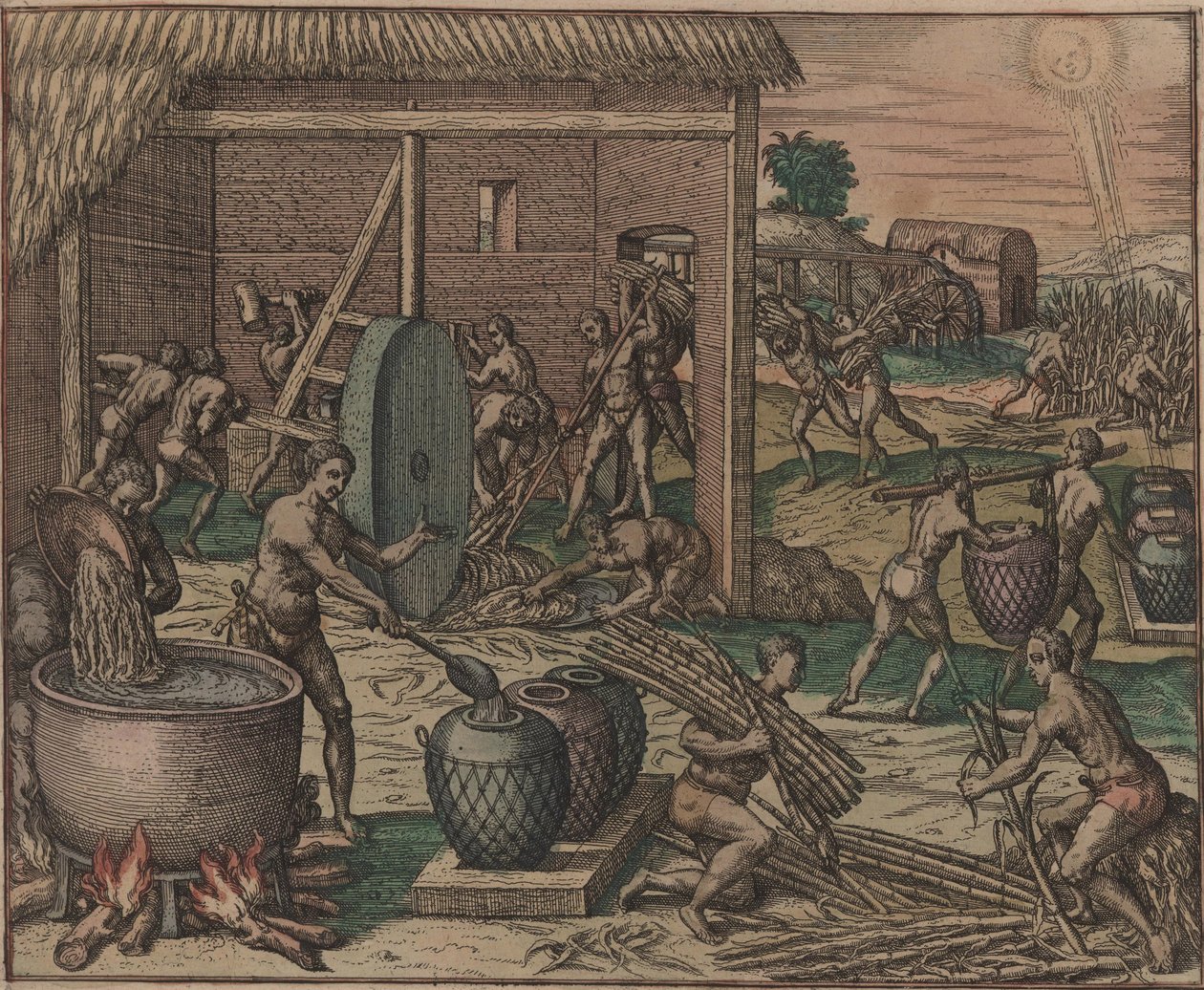 Köleler şeker kamışını işliyor ve şeker üretiyor, 1595. by Theodore de Bry