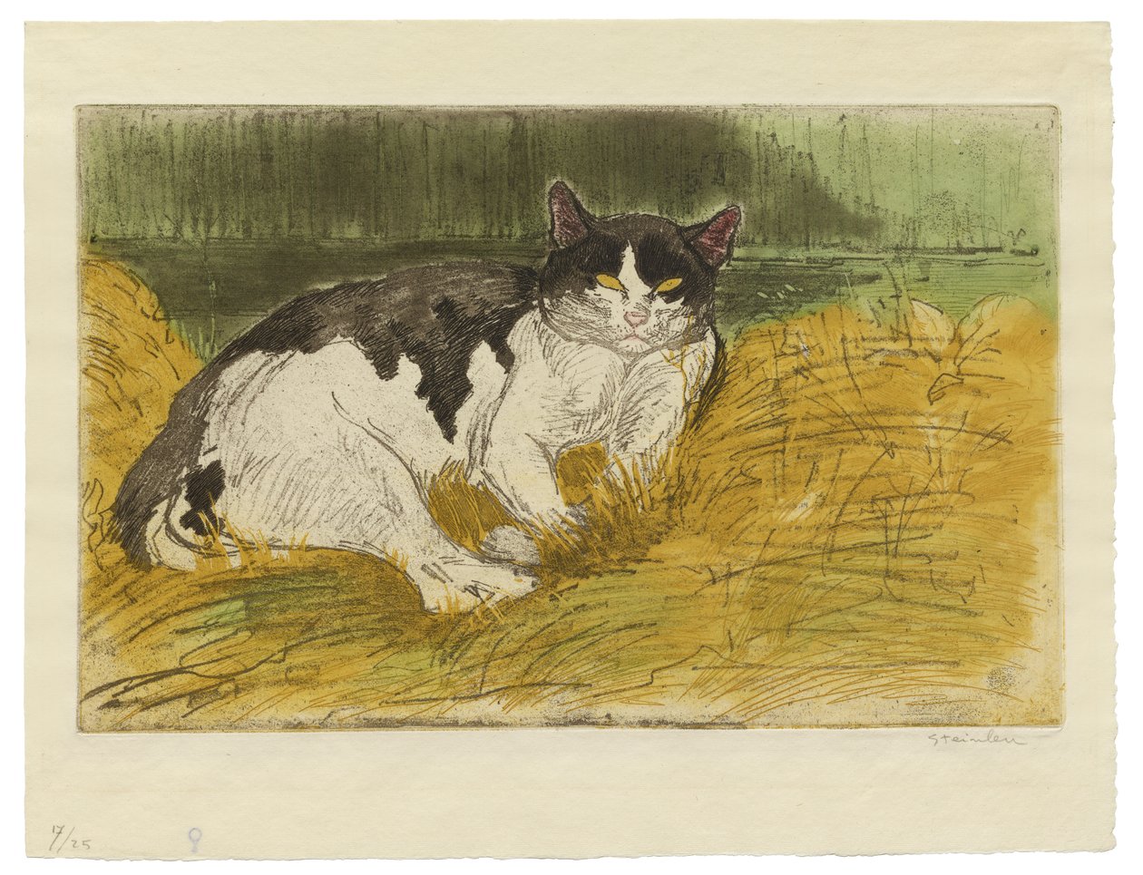 çimenlerin arasında yaşlı siyah beyaz kedi by Théophile Alexandre Steinlen