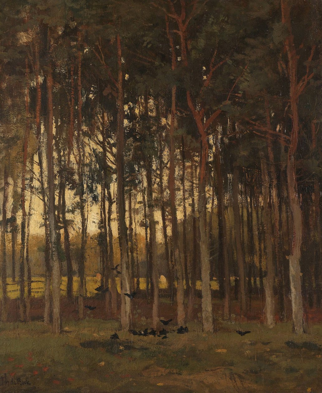 Ormanda Görüntüle by Theophile de Bock