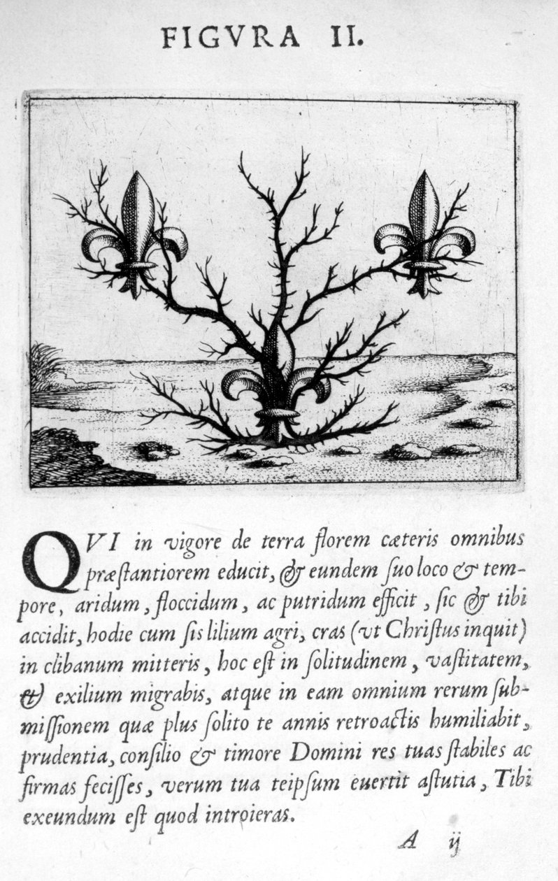 Eximii Doktoru Paracelsus