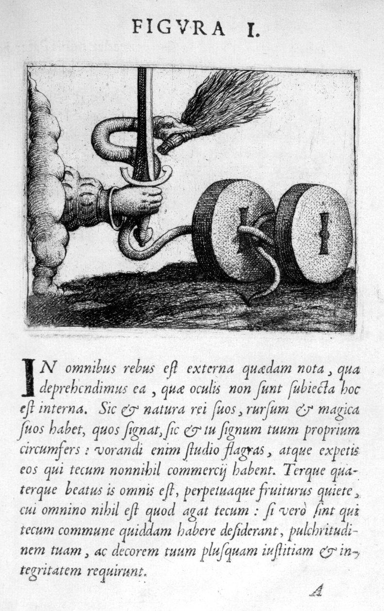 Prognosticatio eimii Doctoris Paracelsi