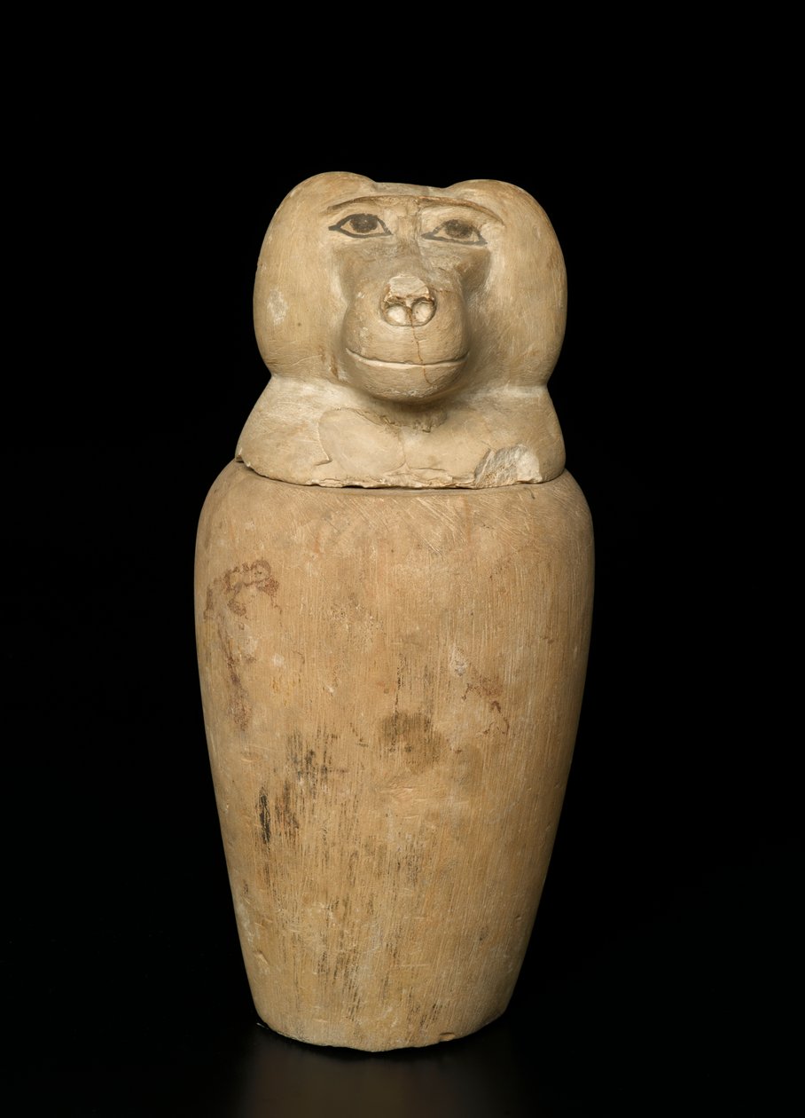 Kanopik kavanoz (kireçtaşı) by Third Intermediate Period Egyptian