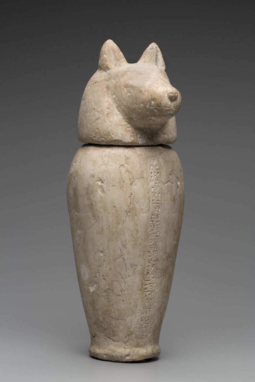 Çakal Başlı Kanopik Kavanoz (kireçtaşı) by Third Intermediate Period Egyptian