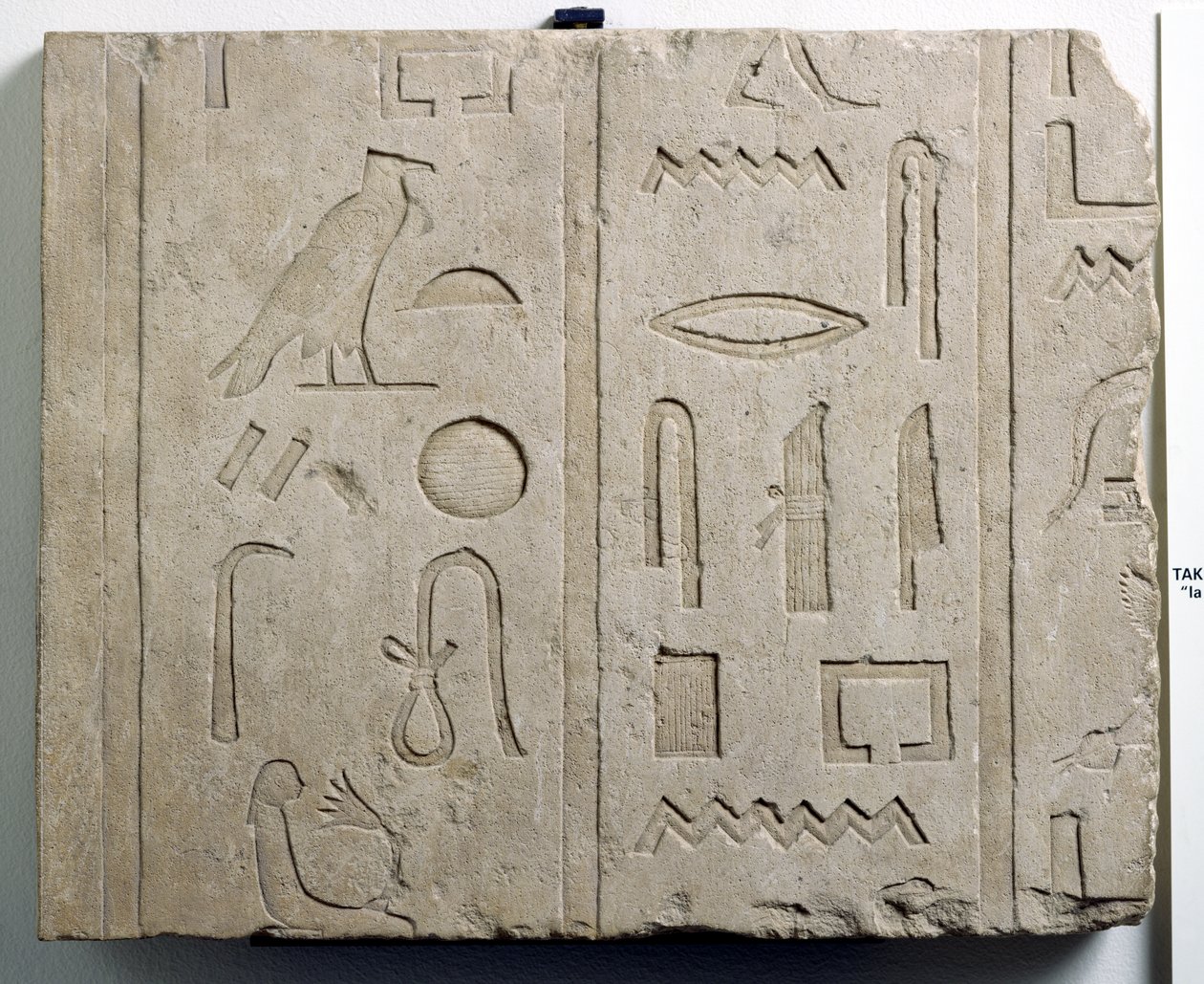 Bir hiyeroglif yazıt parçası, 25.-26. Hanedan, MÖ yaklaşık 715-525 (kireçtaşı) by Third Intermediate Period Egyptian