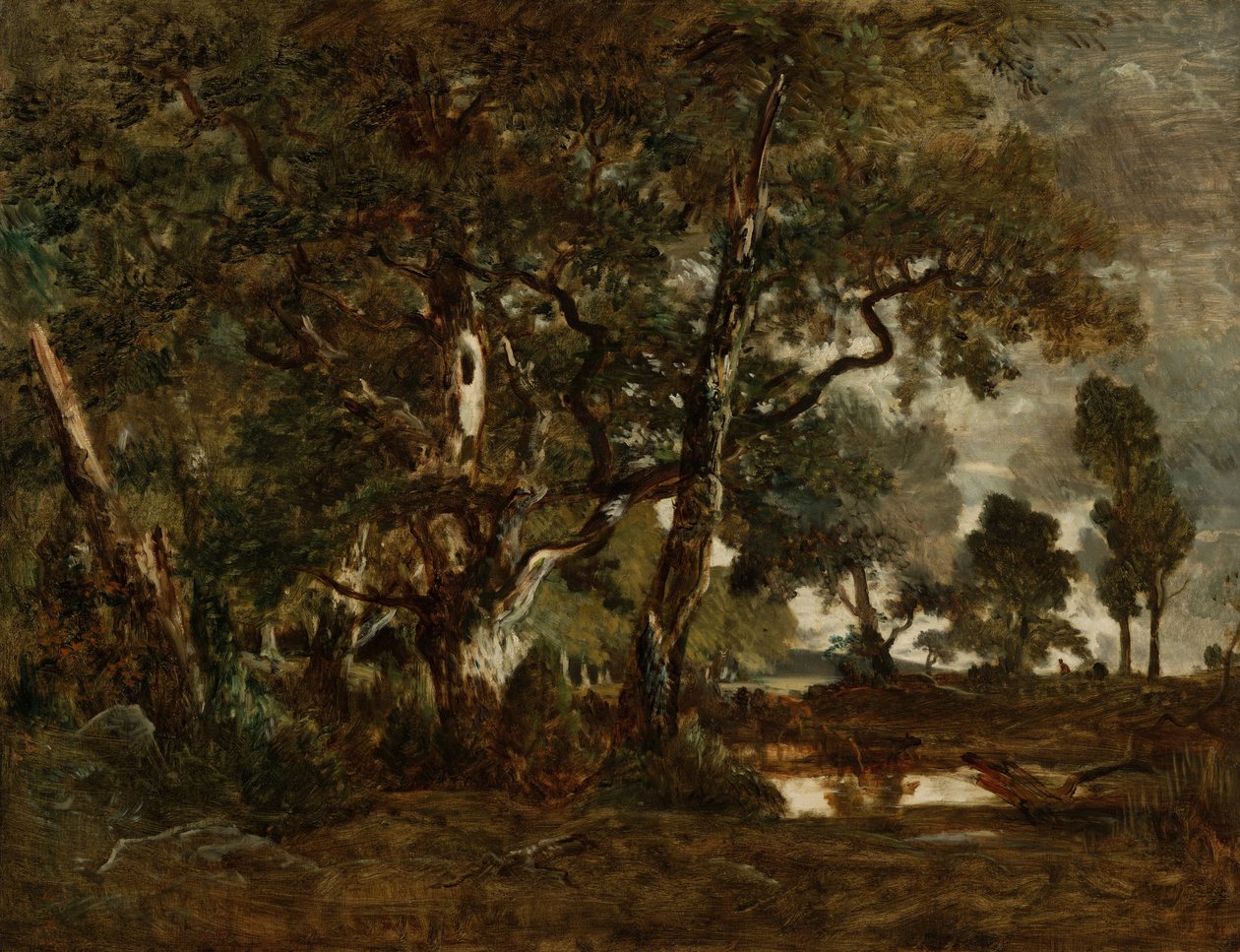Fontainebleau Ormanı, Ba