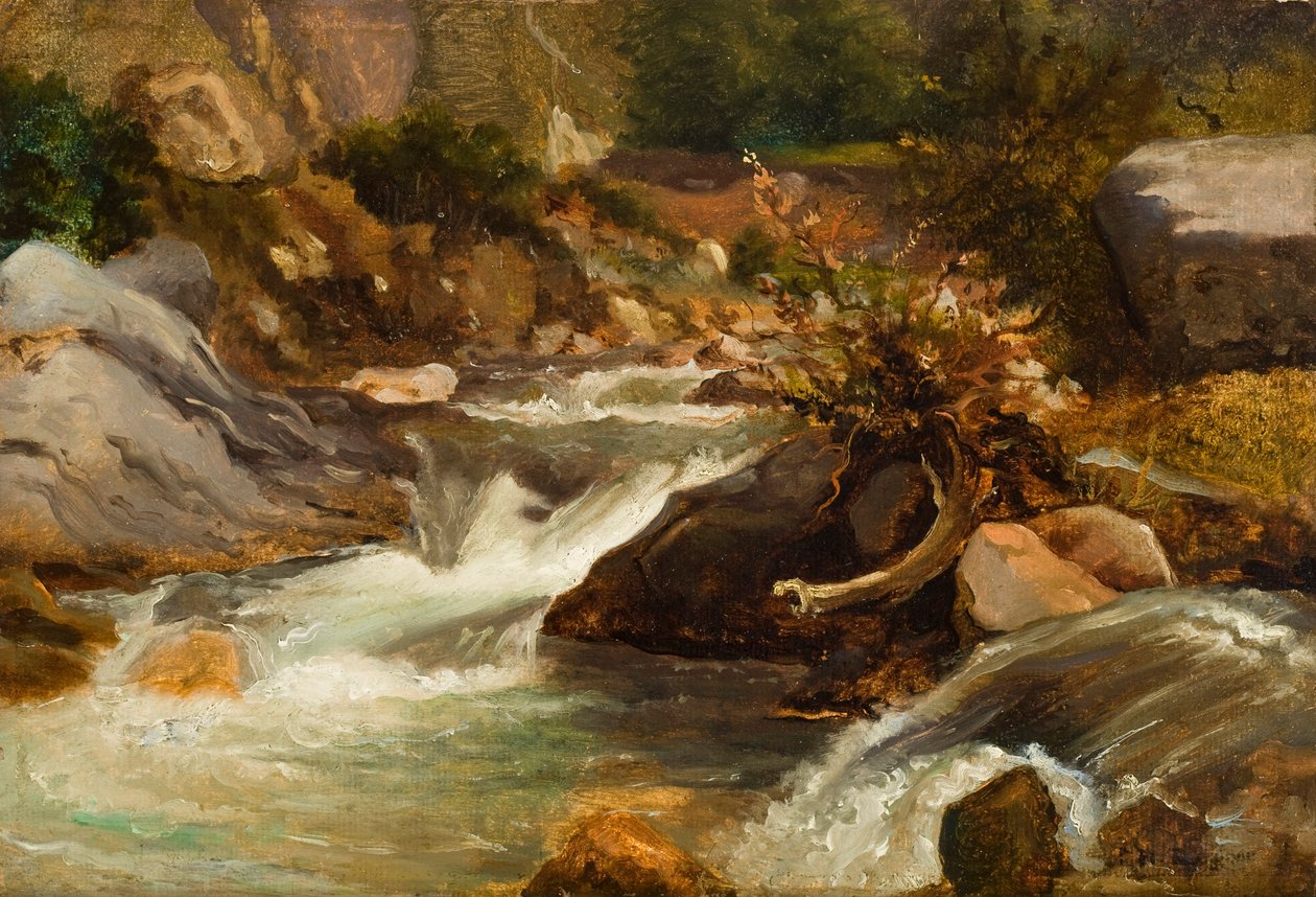 Peyzaj Çalışması (La Source) c.1830 (panel üzerine monte edilmiş kağıt üzerine yağlı boya) by Pierre Etienne Theodore Rousseau
