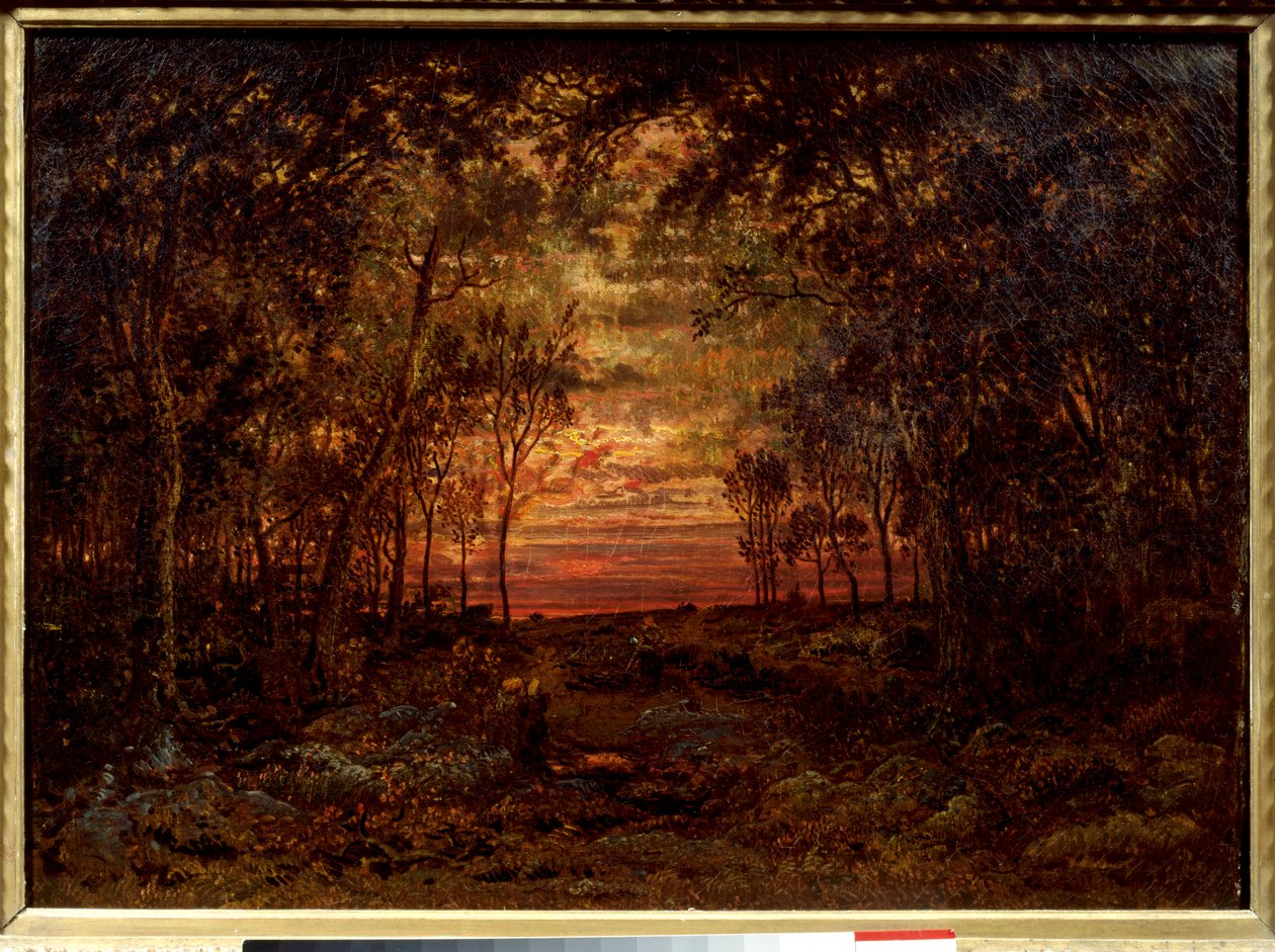 Ormanda Gün Batımı Theodore Rousseau (1812-1867) tarafından yapılan resim 19. yüzyıl Barbizon Okulu. karartmak 0,46x0,62m. Tuval üzerine yağlıboya. . by Pierre Etienne Theodore Rousseau