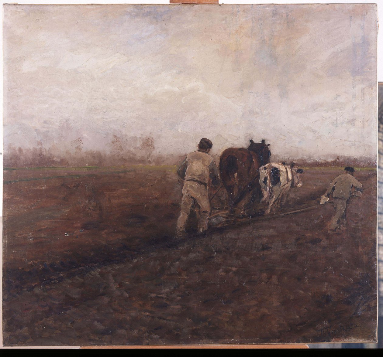  by Theodore Verstraete