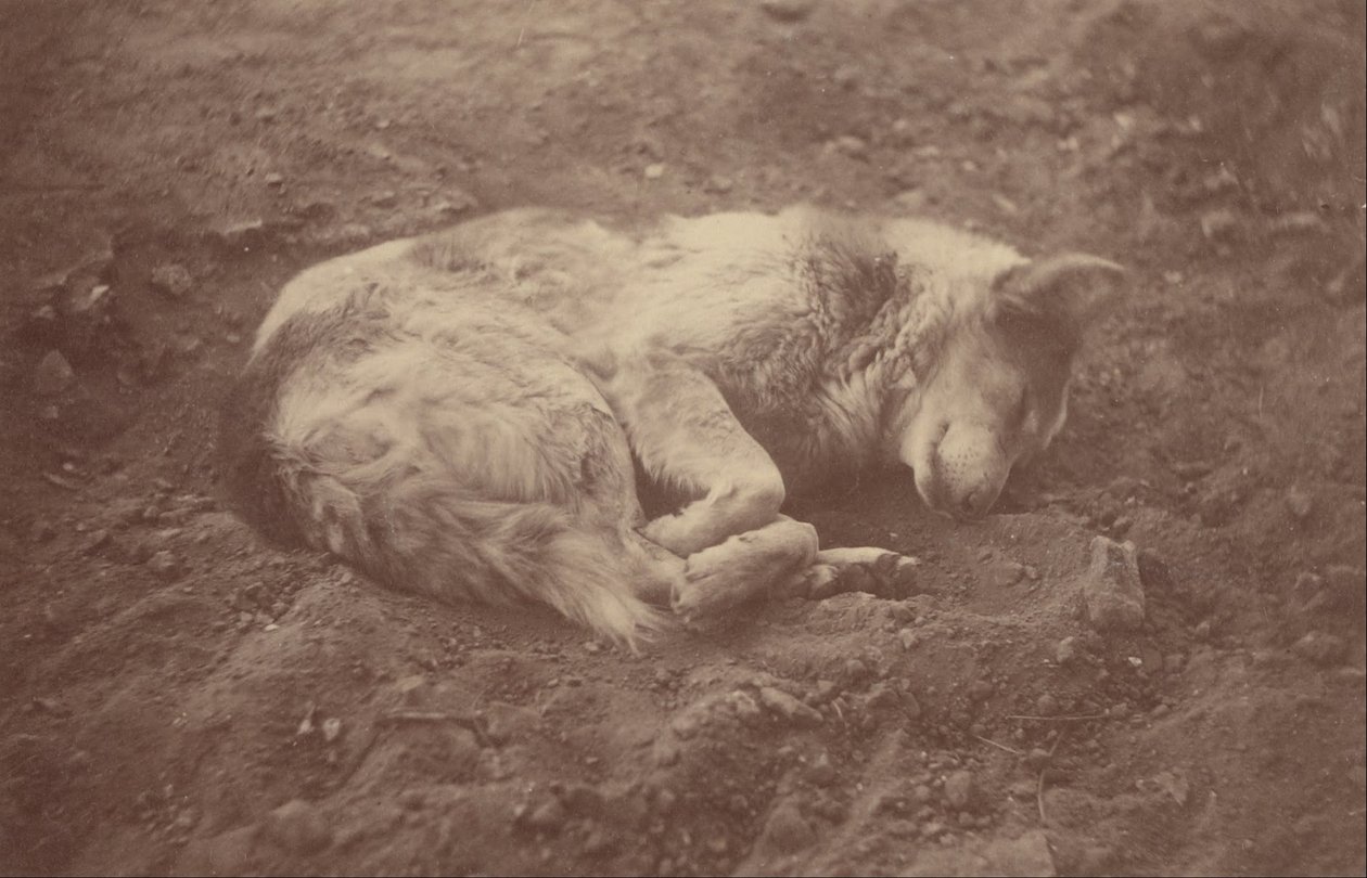 (Uyuyan köpek) by Théodule Devéria