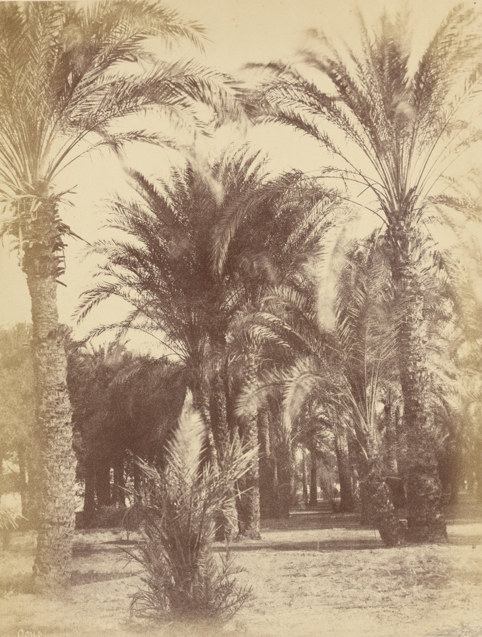  by Théodule Devéria
