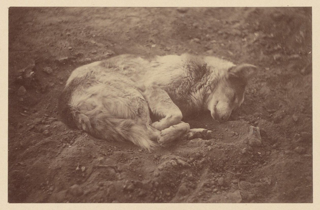  by Théodule Devéria
