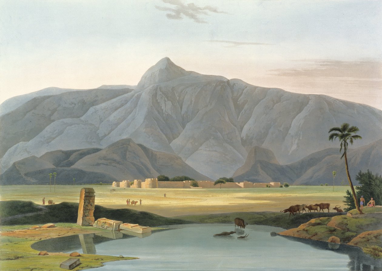 Chevalpettore, 