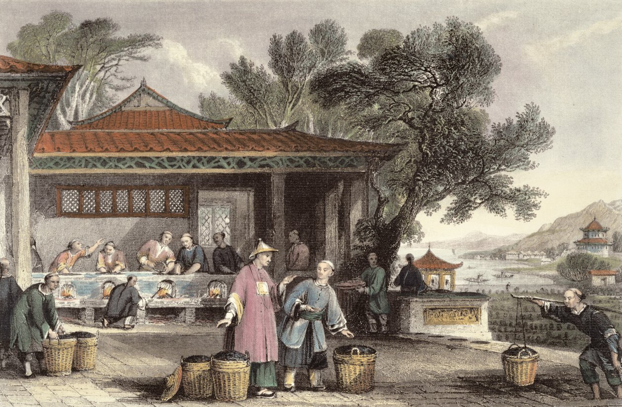 George Newenham Wright (c.1790-1877) 1843 tarafından 