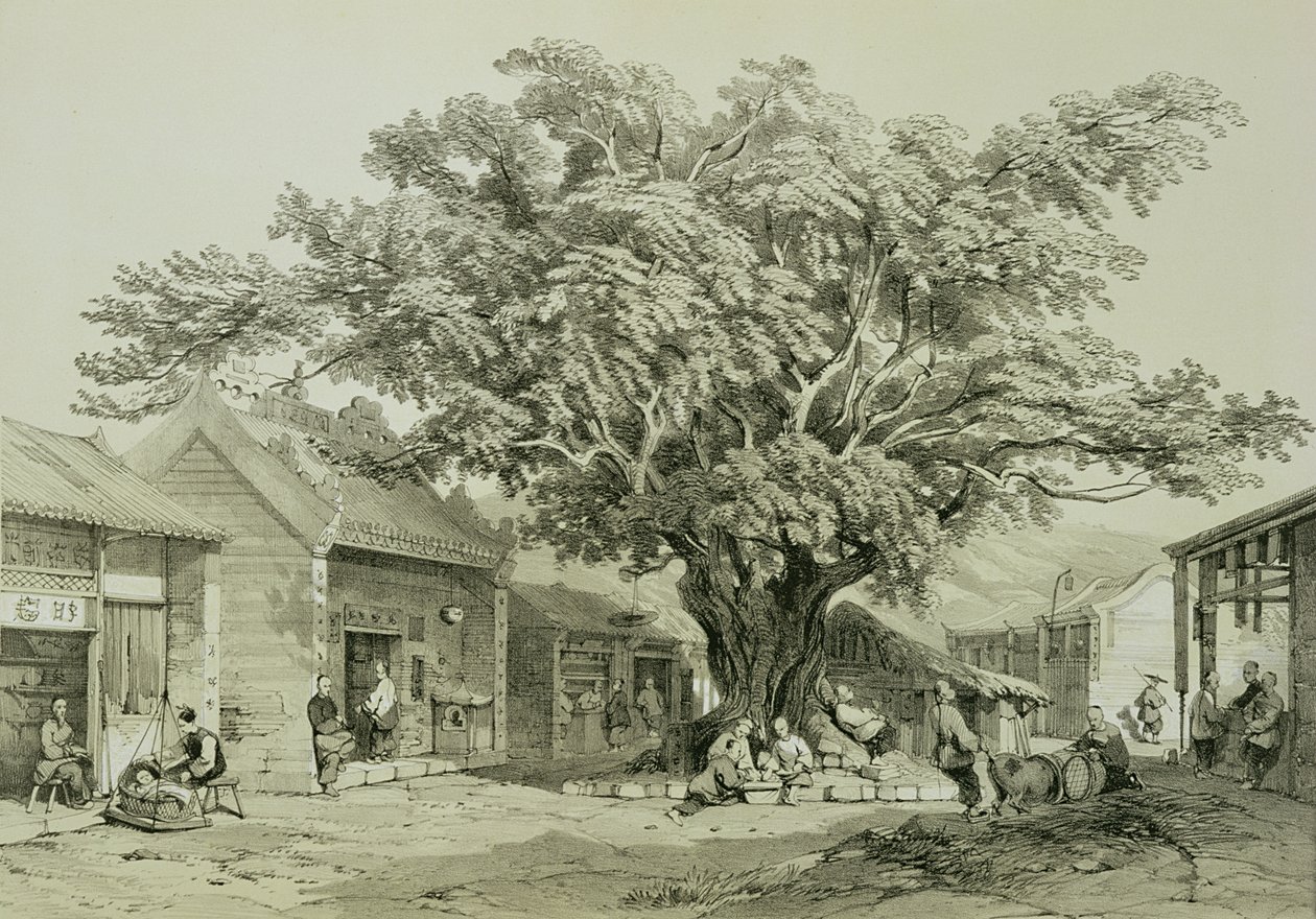 The Temple, Makao, 1850 dolayları (kalem ve mürekkep, kurşun kalem, kağıt üzerinde beyaz ile yükseltilmiş) by Thomas Allom