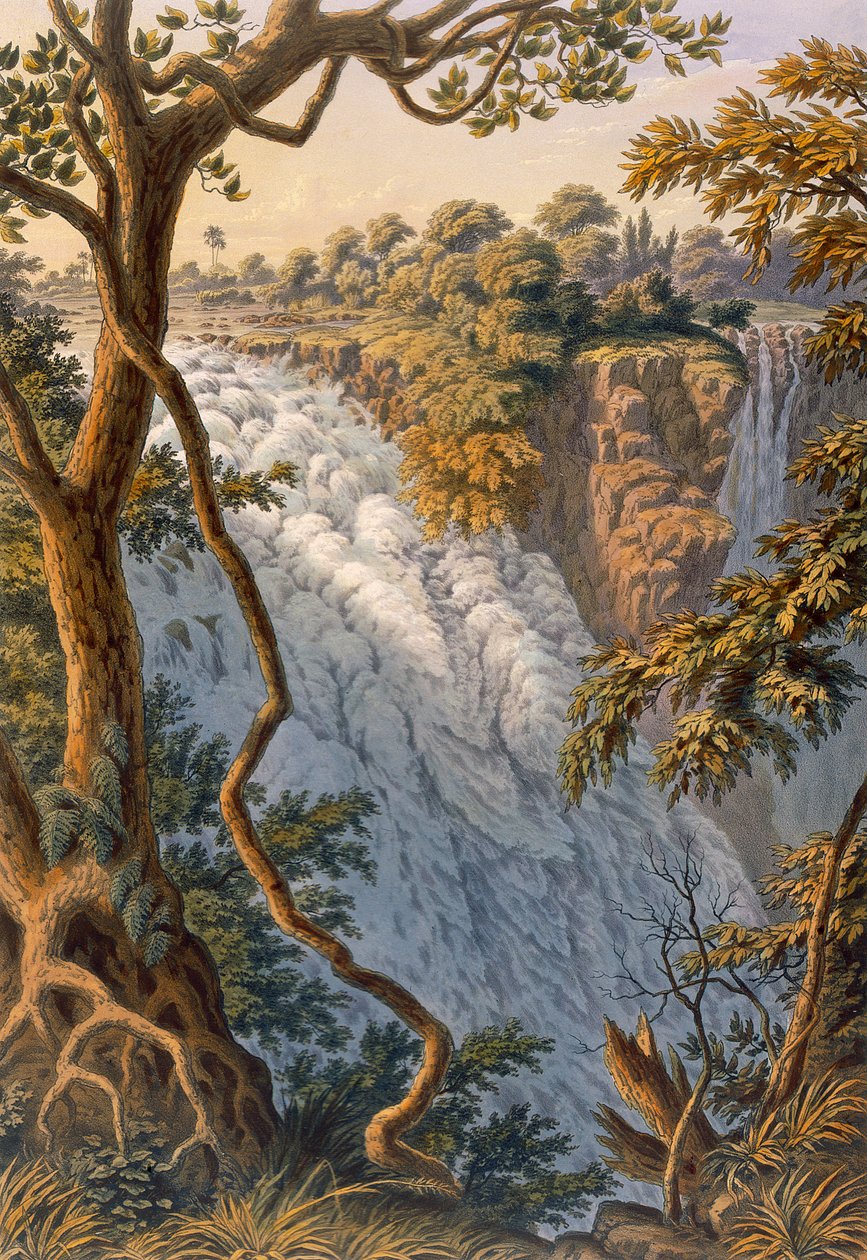 Victoria Şelaleleri: Sıçrayan Su by Thomas Baines