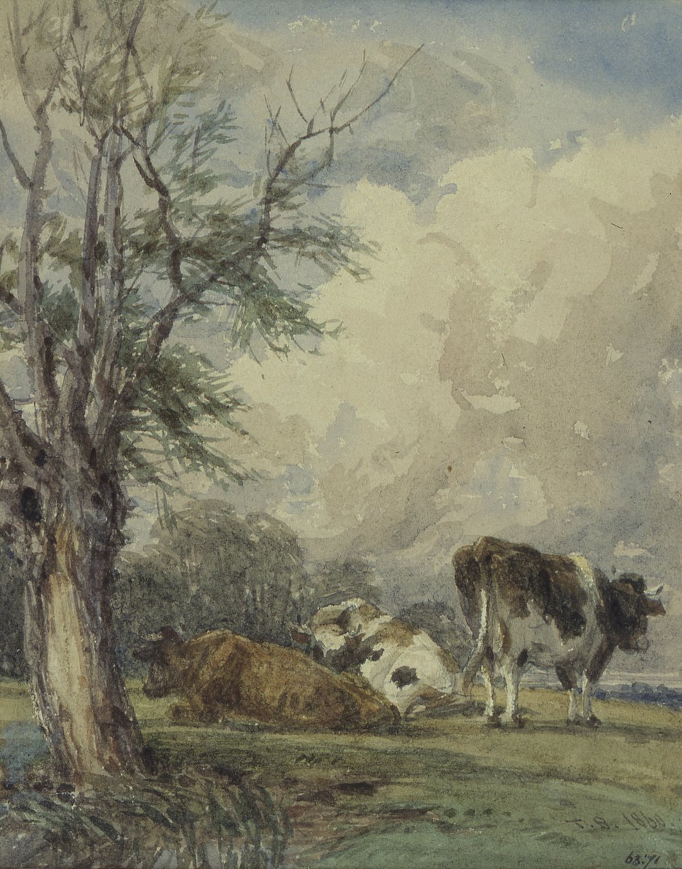 Bir Sığır Araştırması, 19. Yüzyıl by Thomas Baker