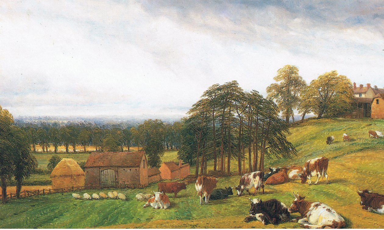 Old Park Farm