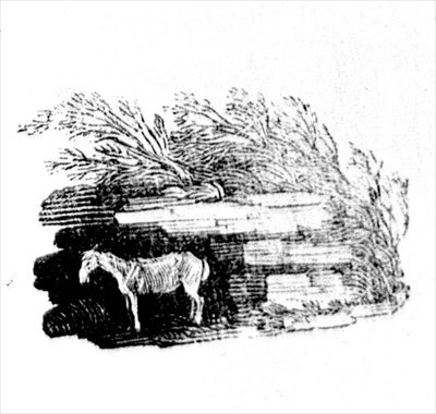 İngiliz Kuşları ve Dört Ayaklılar Tarihinden Bir Eşek by Thomas Bewick
