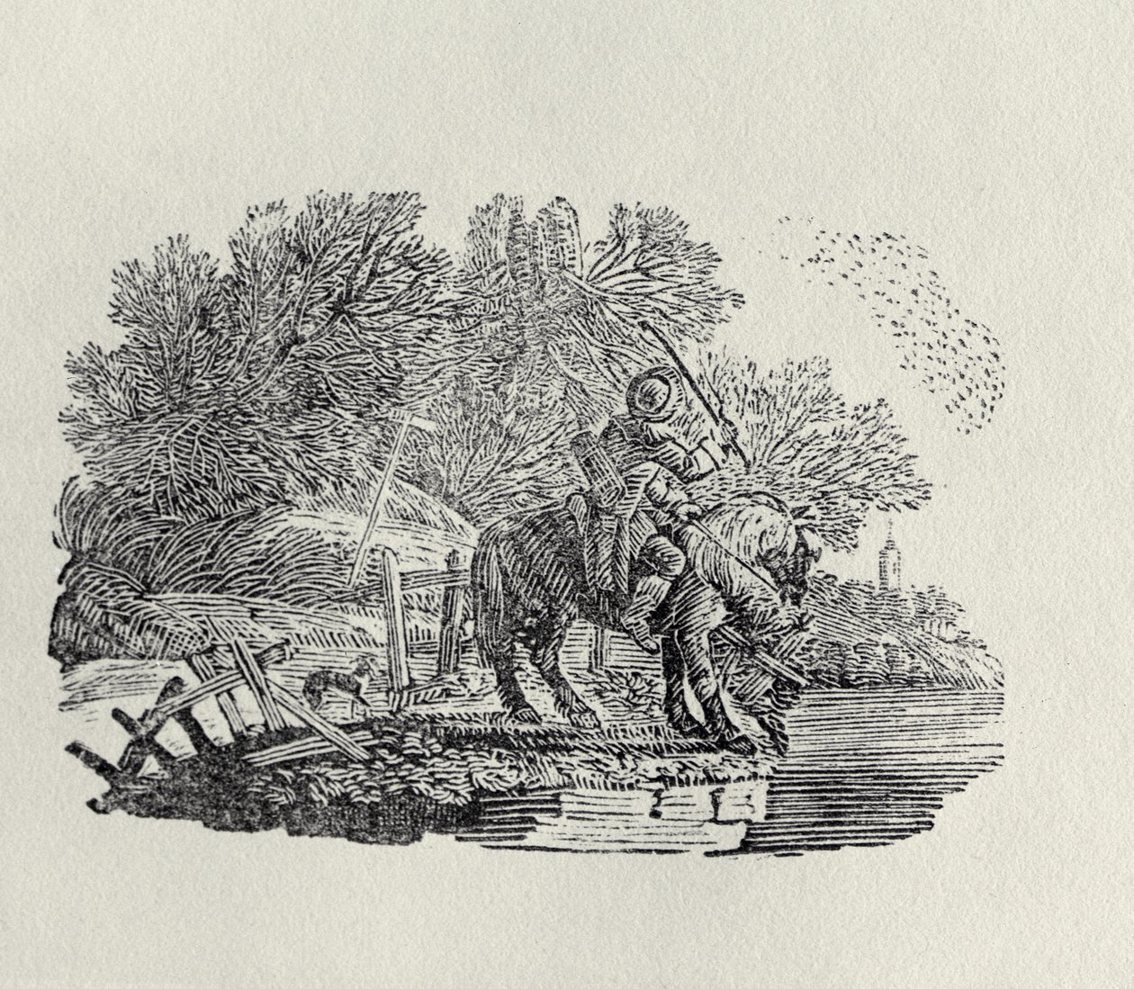 Kuş sürüsü tarafından dikkati dağılan bir binici (ahşap oyma) by Thomas Bewick