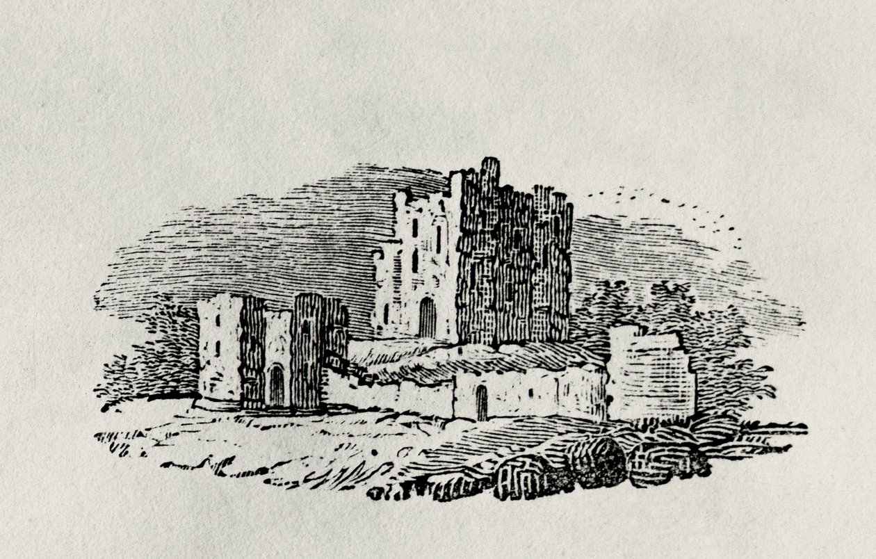 Son parça (ahşap gravür) by Thomas Bewick