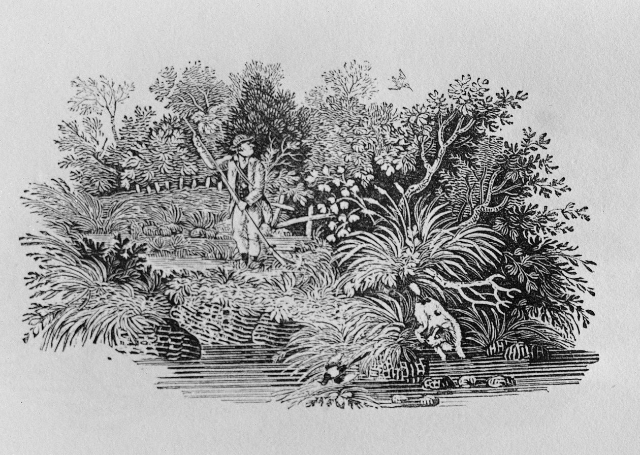 Shot arıyorsunuz, 18. yüzyılın sonu veya 19. yüzyılın başı (ahşap gravür) by Thomas Bewick