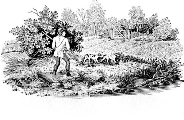 Land Birds 1797