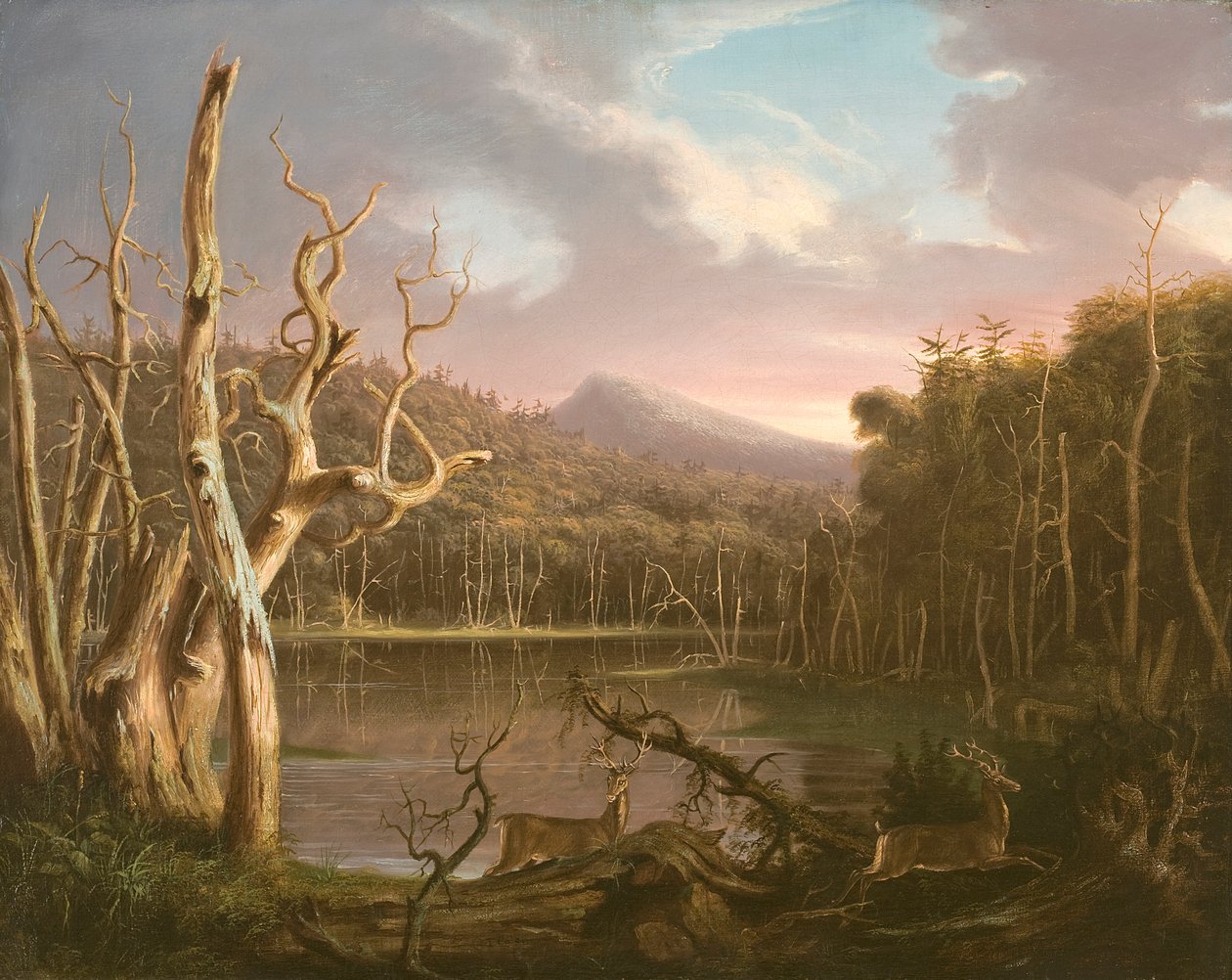 Ölü Ağaçlı Göl (Catskill) by Thomas Cole