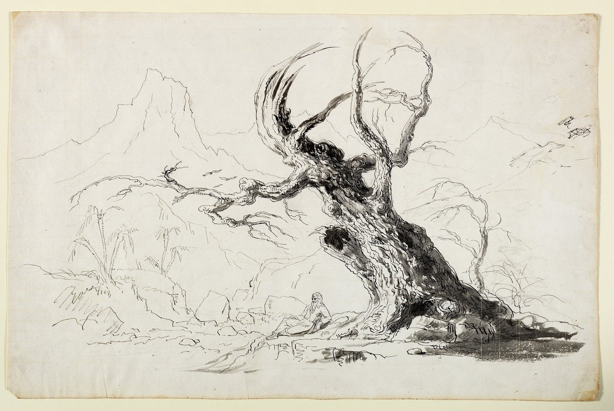 Aşağıda Oturan Sakallı Adam ile Büyük Boğumlu Ağaç (kağıt üzerinde kurşun kalem üzerine kalem ve mürekkep) by Thomas Cole