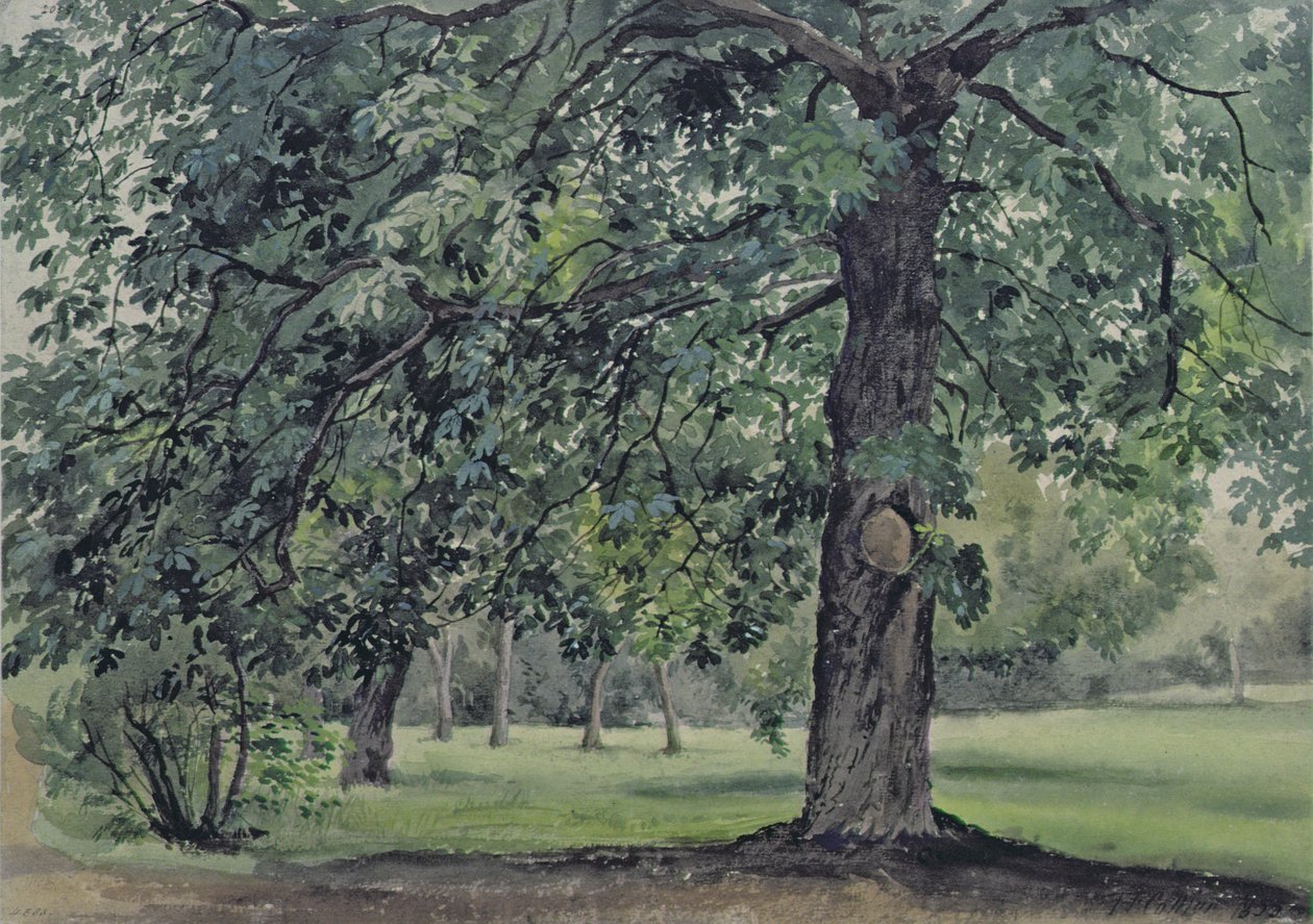 Kestane Ağacı Ön Planda Manzara by Thomas Collier