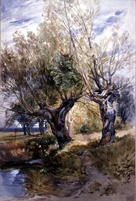 Windsor Meadows