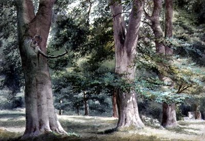 Kayın Ağaçları Çalışması by Thomas Collier