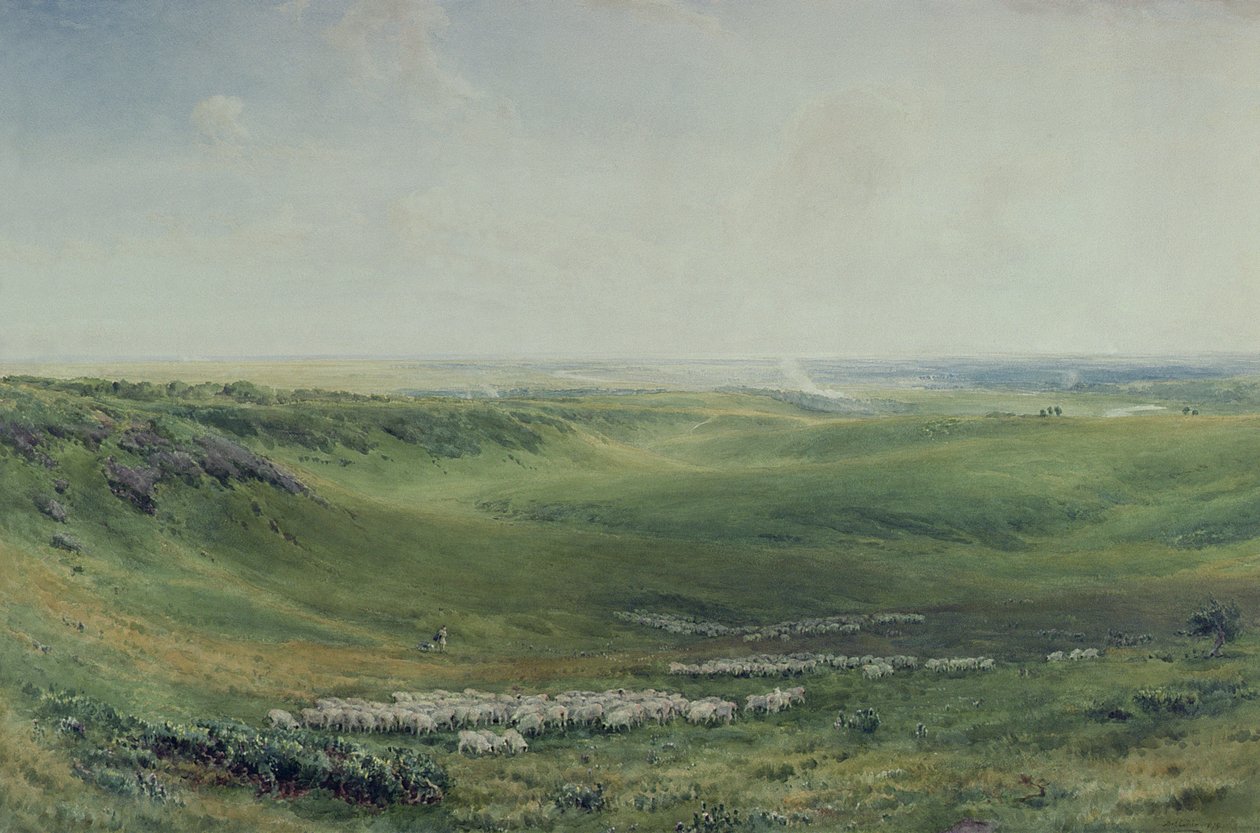 Geniş Meralar, Sussex (suluboya) by Thomas Collier