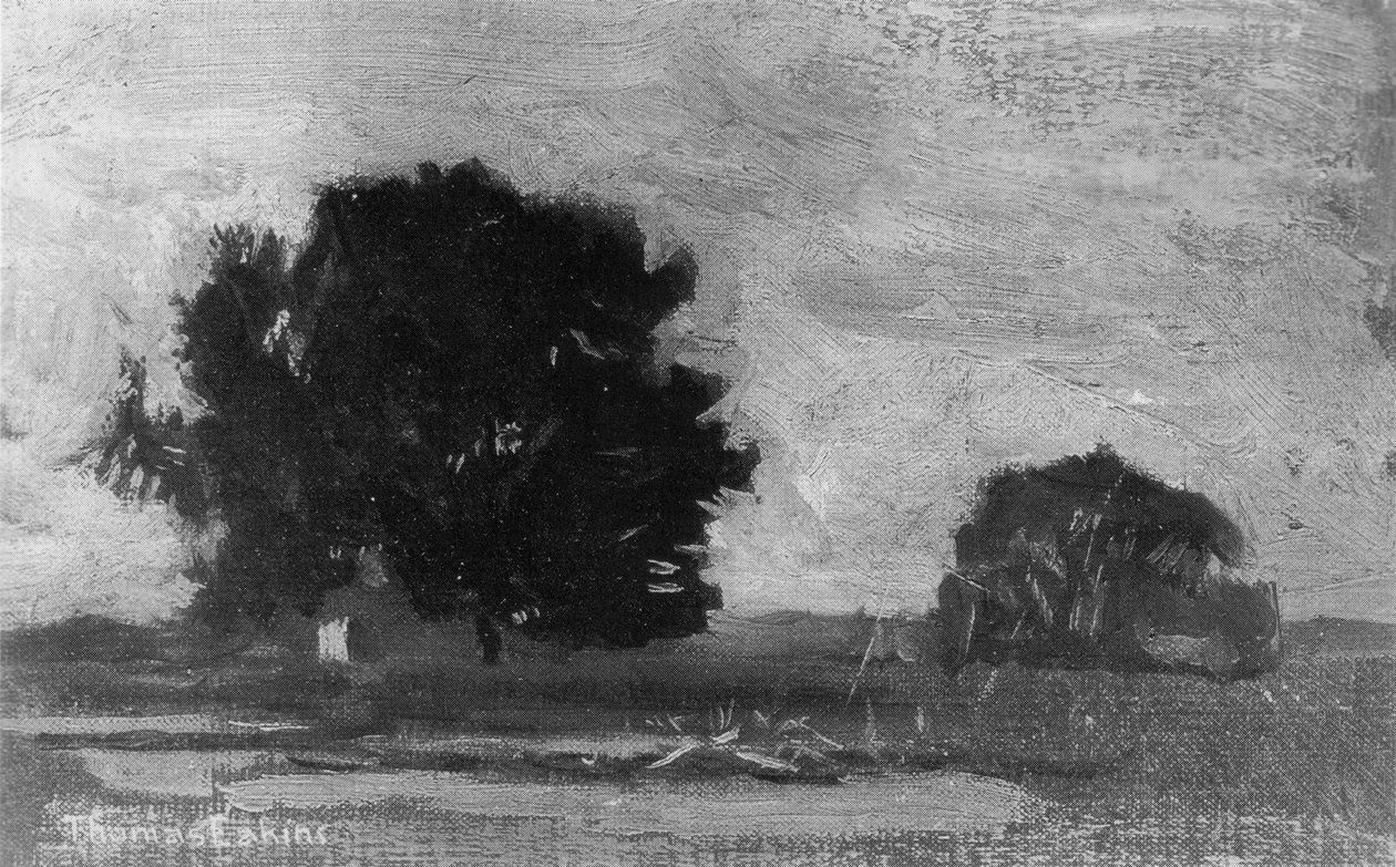 Bilinmeyen resim by Thomas Eakins