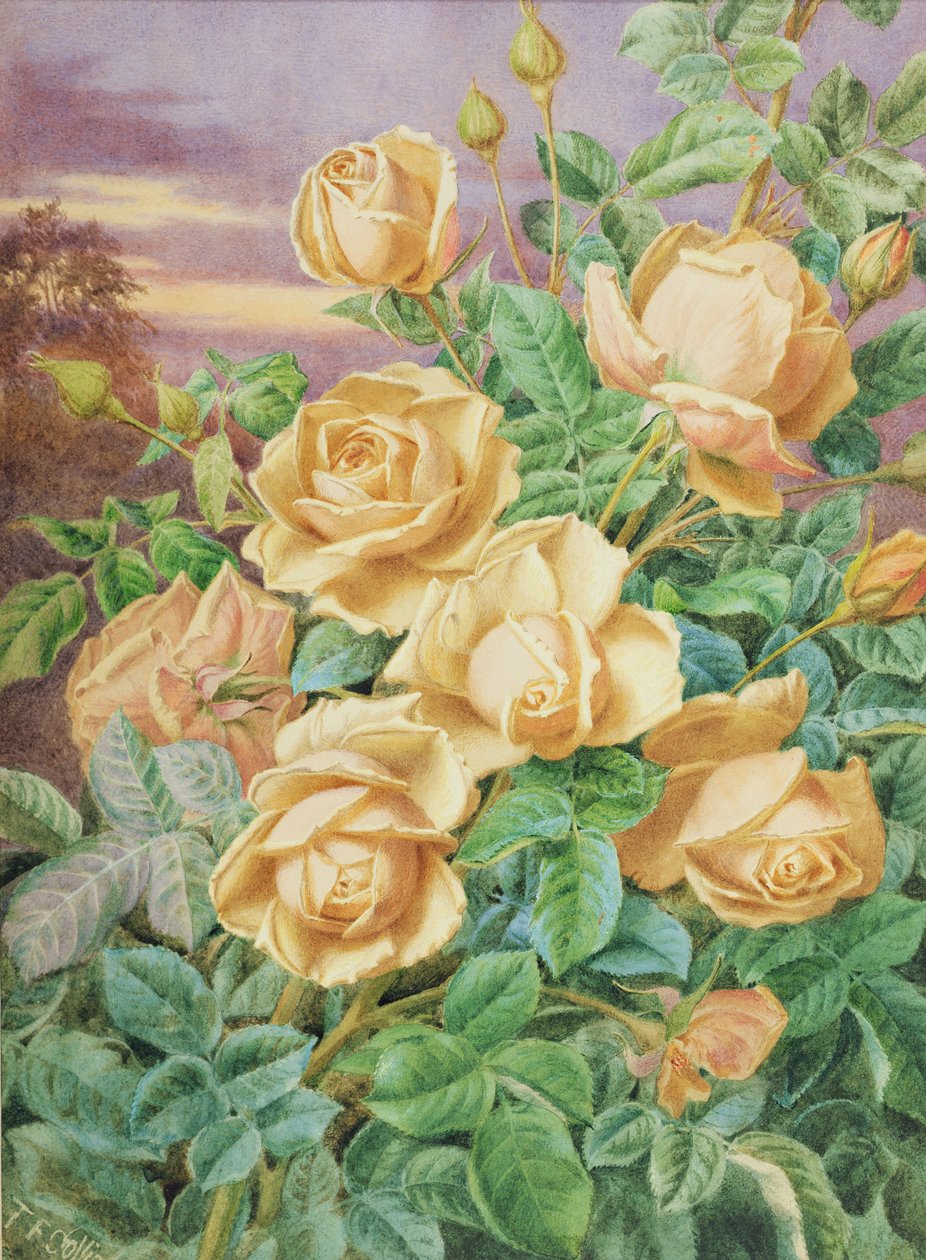 Sarı Güller (kağıt üzerine wc) by Thomas Collier