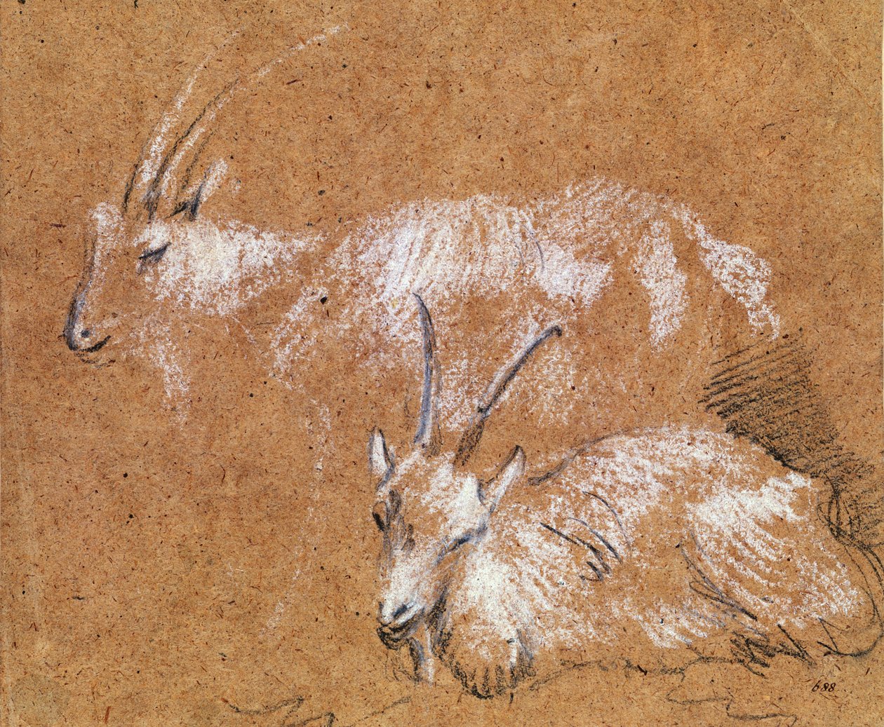 Keçi Çalışması (çizim) by Thomas Gainsborough