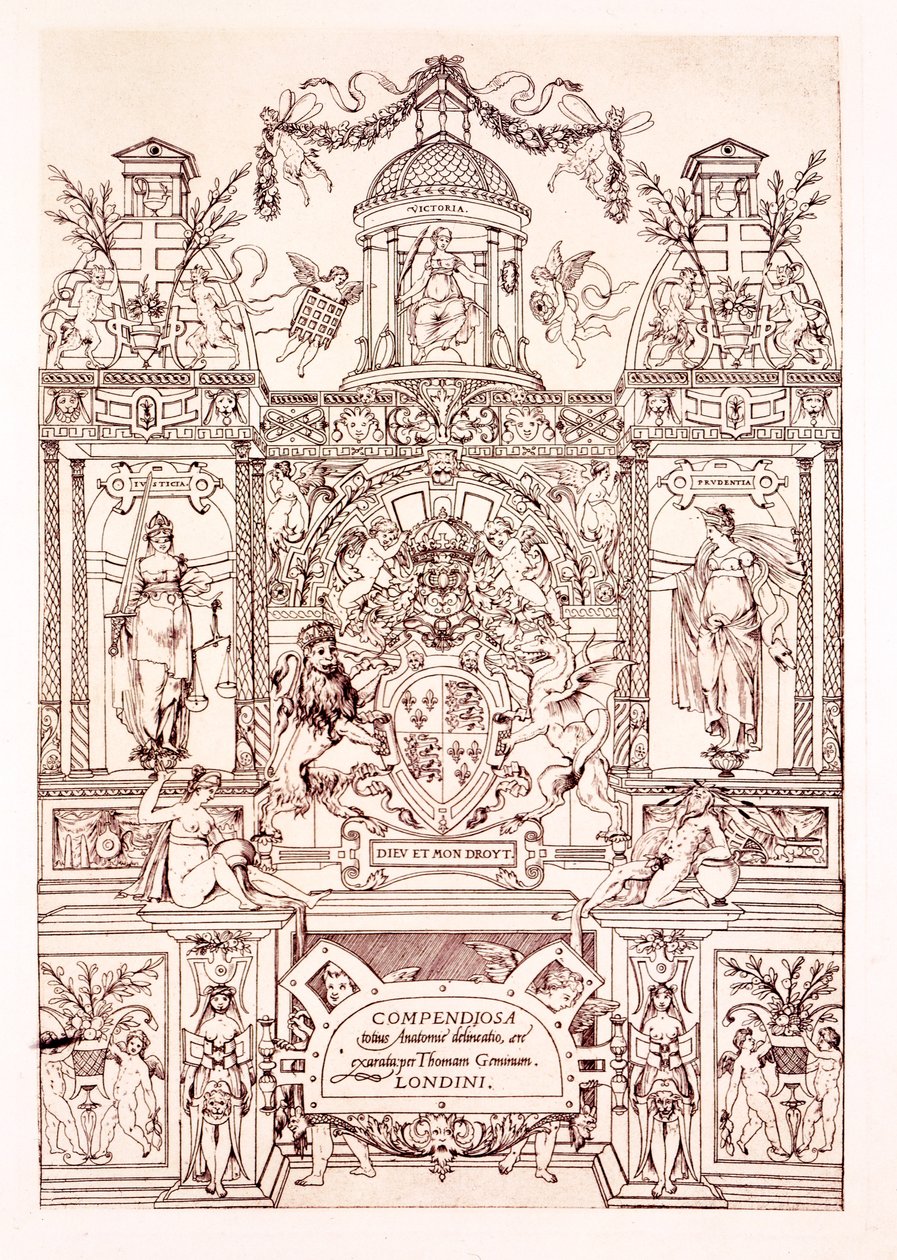 Anatomi Özeti, 1545 by Thomas Geminus