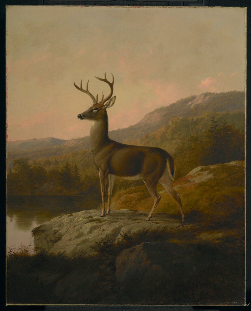 Geyik, 1855 by Thomas Hewes Hinckley