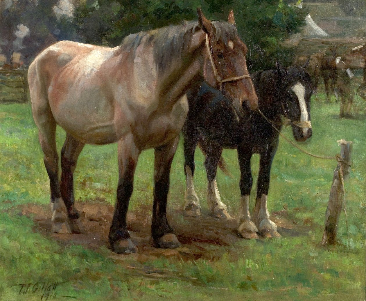 Bir Ülke Fuarı, 1910 by Thomas J. Gillott