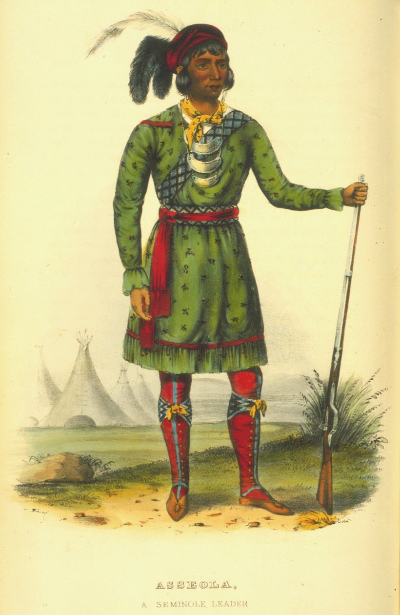 Asseola, bir Seminole lideri, 1870 (el boyaması taş) by Thomas Loraine McKenney