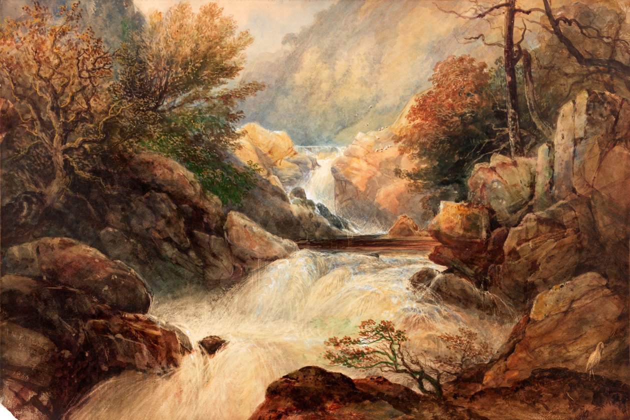 Lochy Şelalesi (gövde rengi) by Thomas Miles Richardson