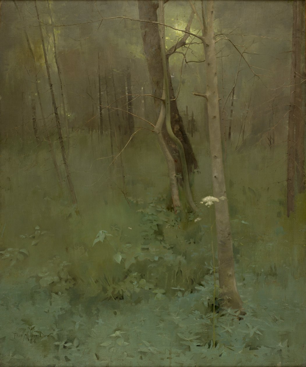 Ağaçlar, 1886 by Thomas Millie Dow