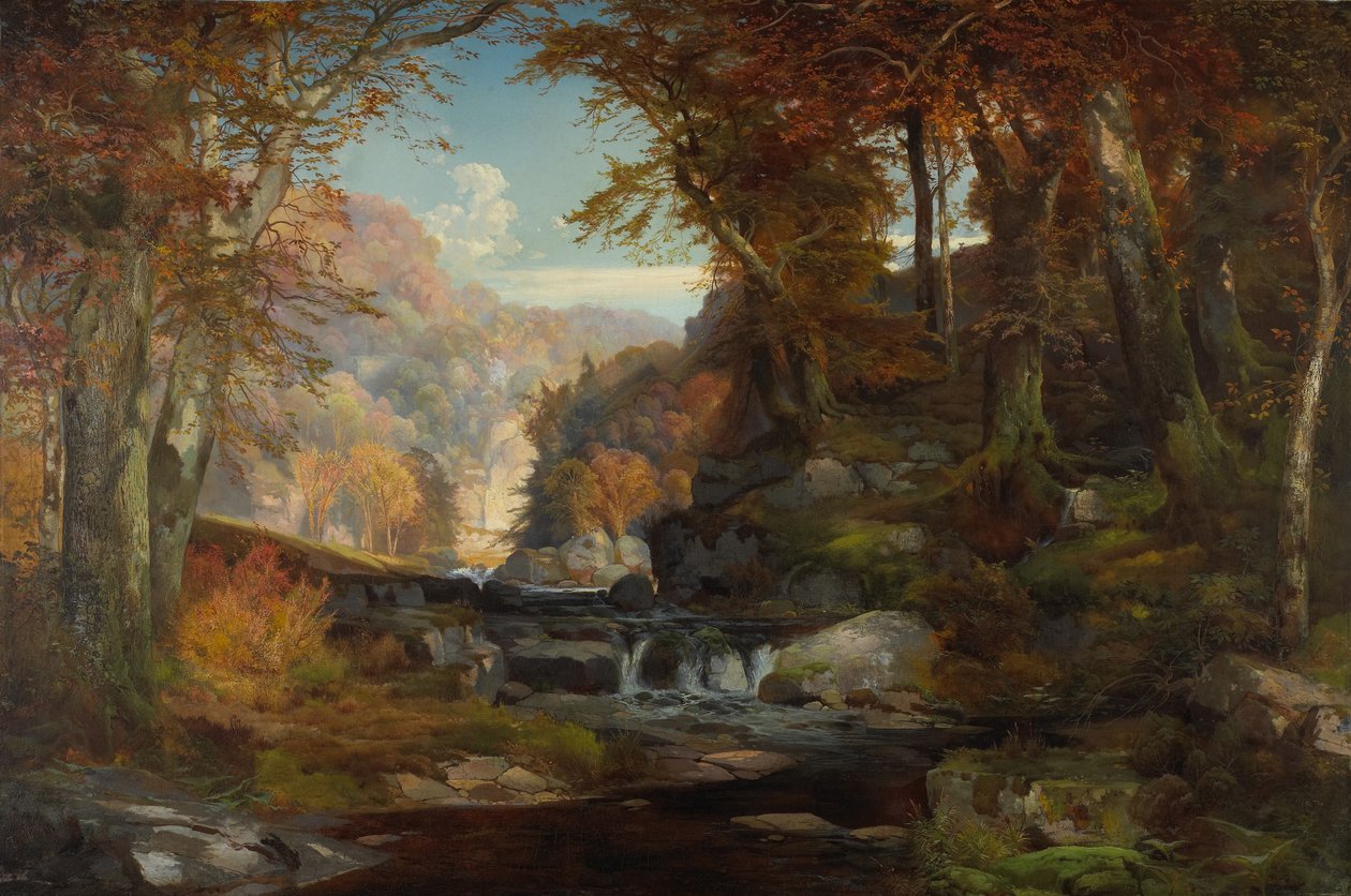 Tohickon Deresi