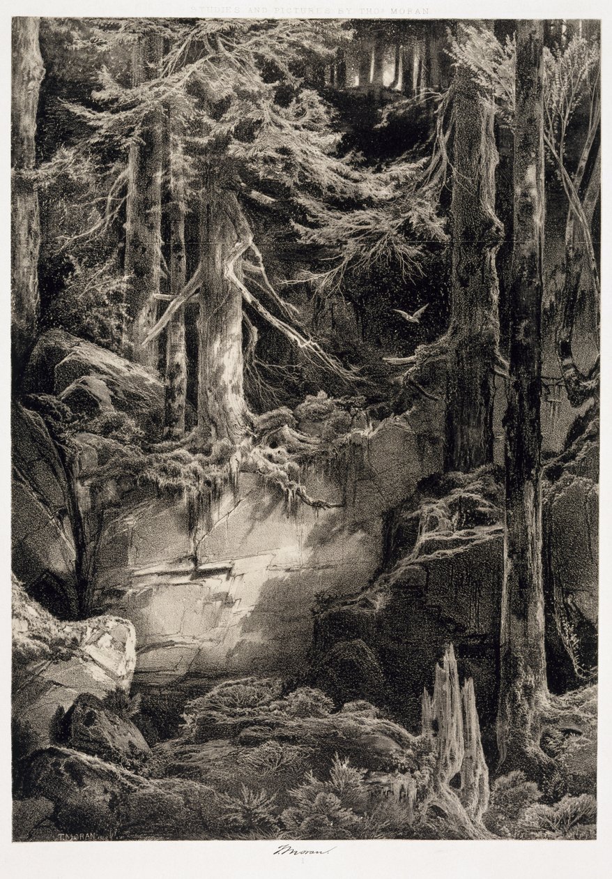 Wissahickon Ormanında, 1868 by Thomas Moran