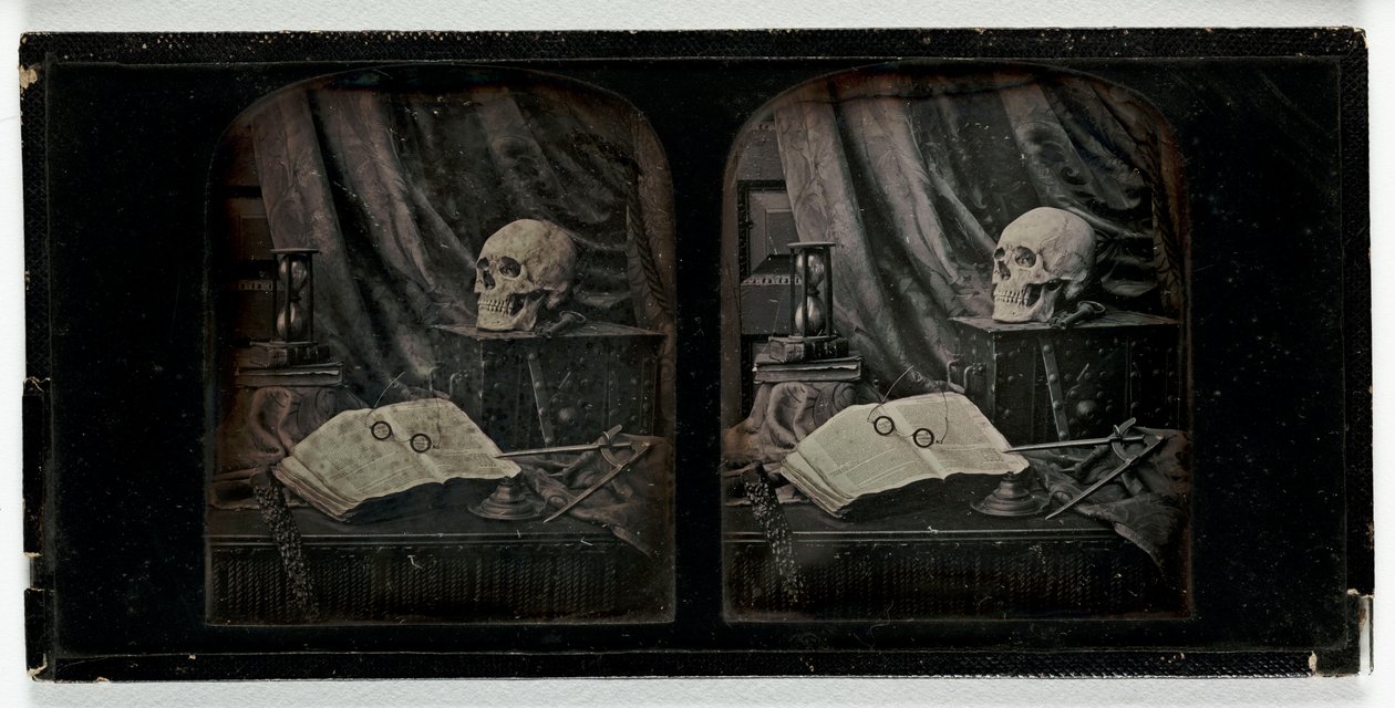 Natürmort, yaklaşık 1955 (dagerreyotipi) by Thomas Richard Williams
