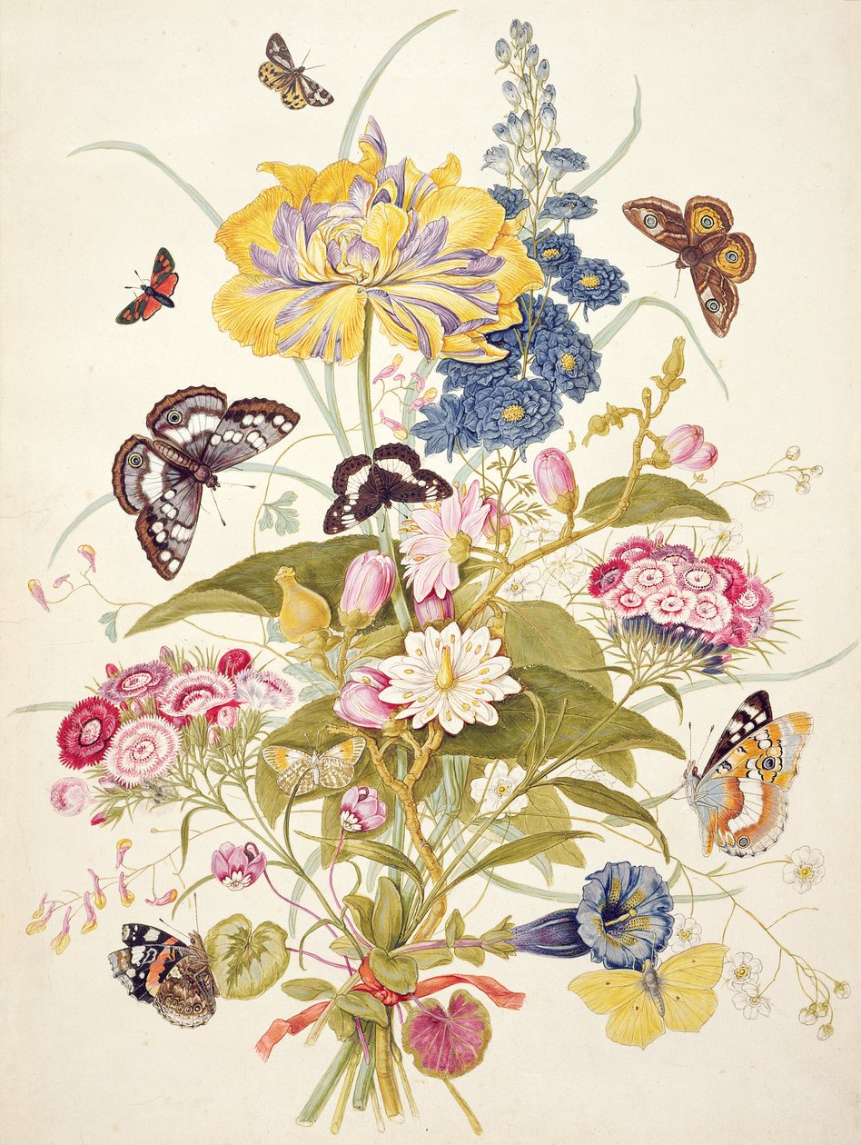 PD.912-1973 Papağan lale, larkspur, tatlı william, centiyana ve siklamen dahil çiçeklerin natürmort, 1769 by Thomas Robins