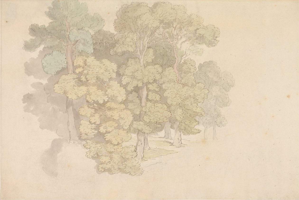 Bir Grup Ağaç by Thomas Rowlandson