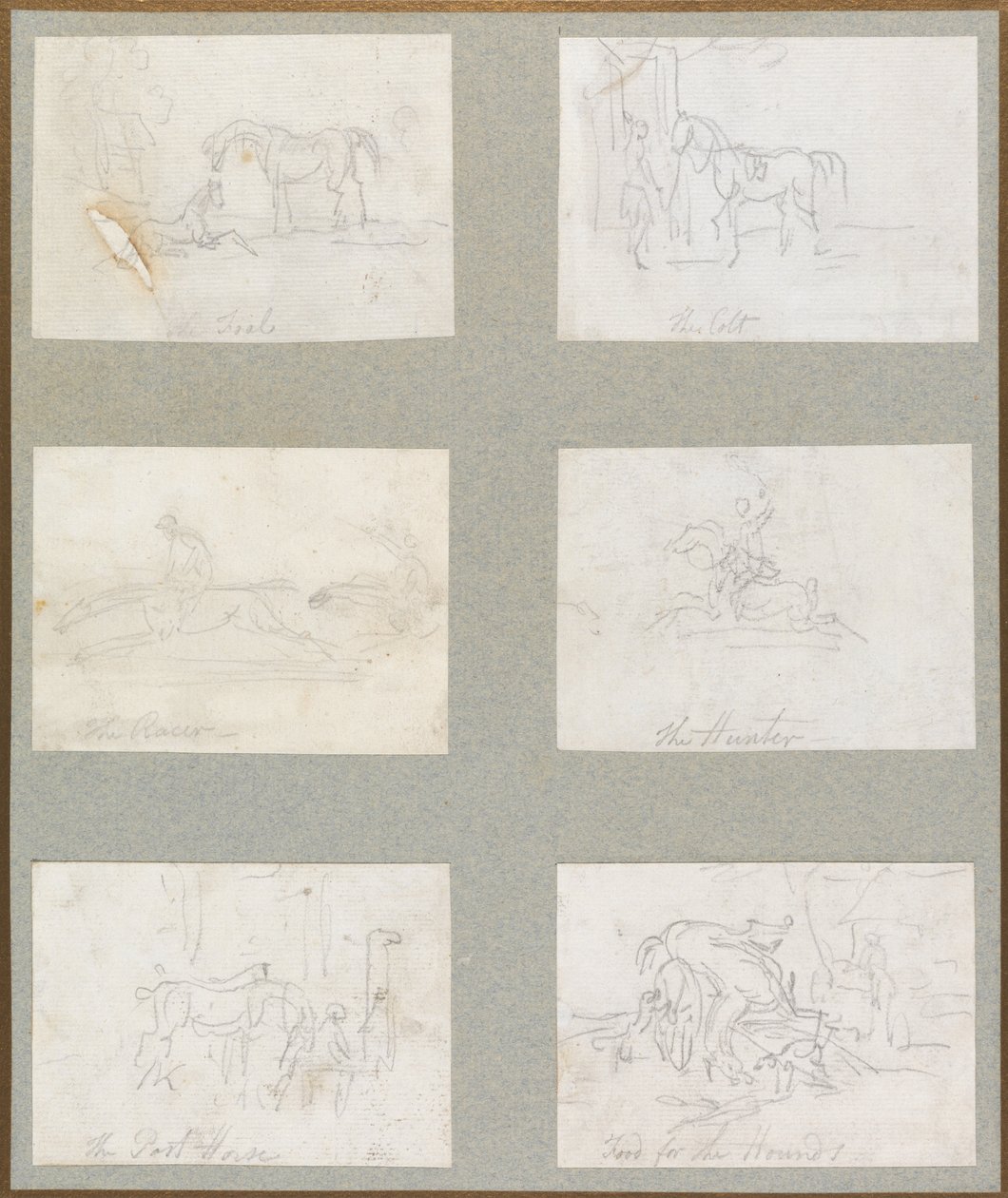 Atın Yaşları - Tay, Tay, Yarışçı, Avcı, At Sonrası, Av Köpekleri için Yiyecek by Thomas Rowlandson