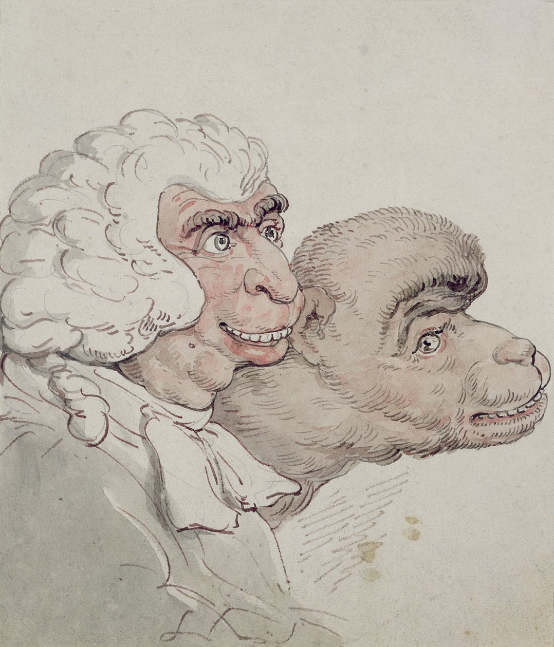 Yargıç Karikatürü (wc) by Thomas Rowlandson