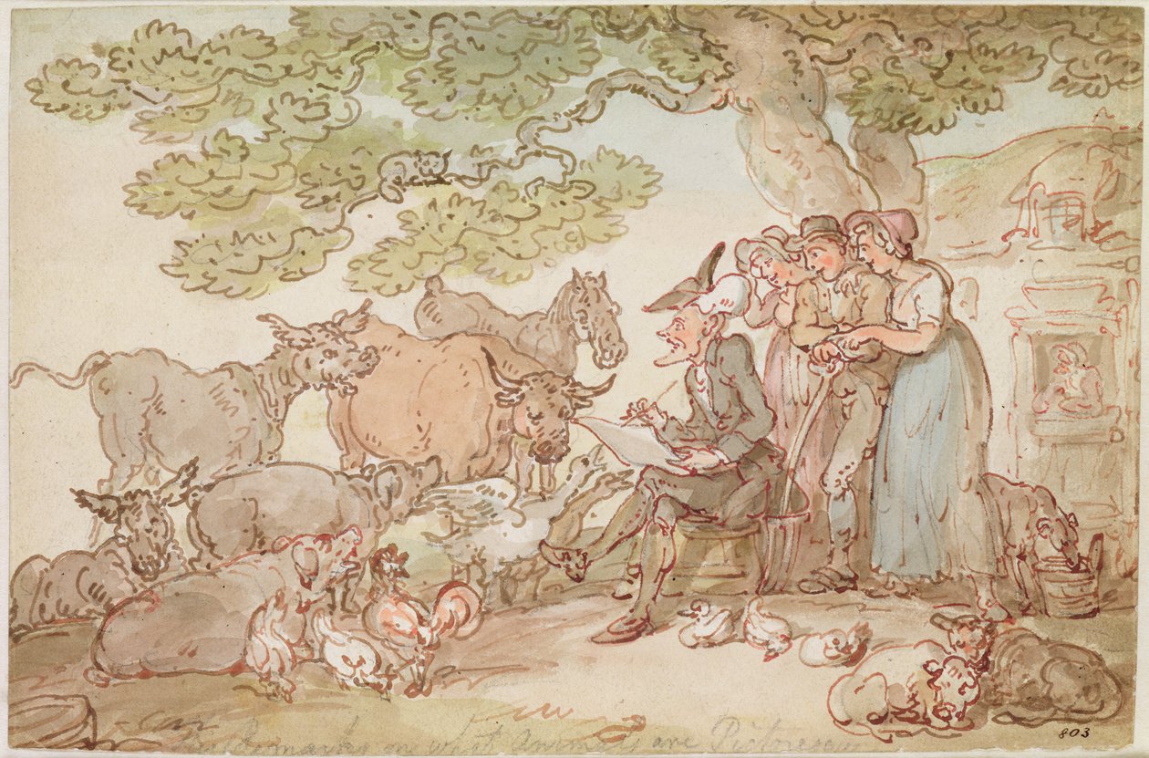 Doğadan sonra sözdizimi çizimi by Thomas Rowlandson