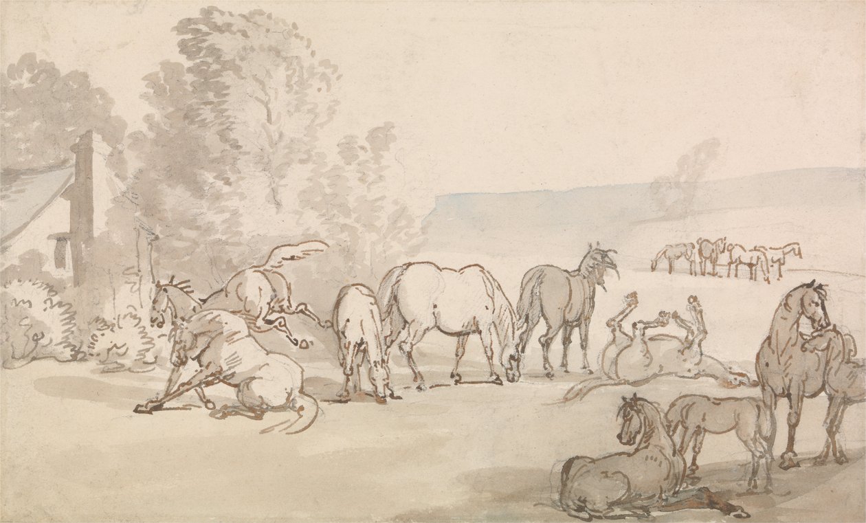 Bir Tarlada Kısraklar ve Taylar by Thomas Rowlandson